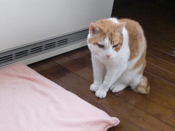 �����ԁE�E�E