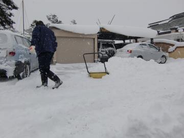 �}�}����_���v�ŁE�E�E