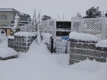 ����������Ă那�E�E�E�E