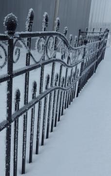 �A�C�A���t�F���X