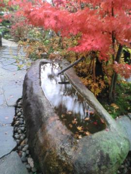 �g�t�Ɛ���