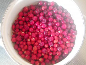 �W���[���x���[�@�W����