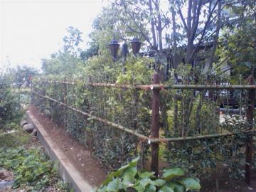 �q�C���M���N�Z�C�@���_