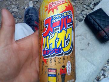 �n�C�I�N ���^���ŁI