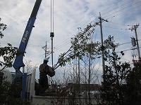 �A���J�V�̉^��