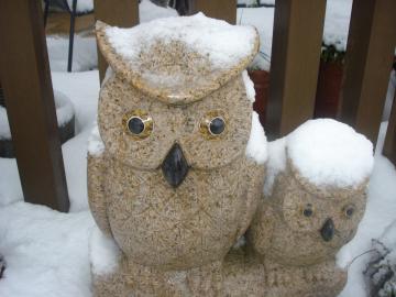 �ӂ��낤��܂݂�