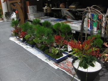 ���|�~�̊񂹐A��