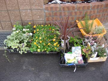 �Ԓd�̕c�@���ꂩ��A���܂�