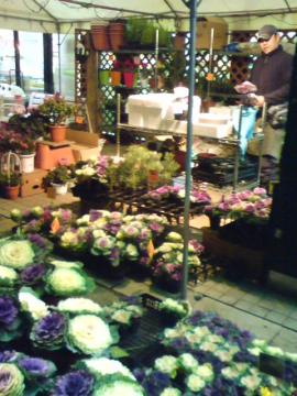 �C�C�d�J�@�t�����[����