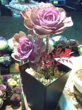 �n�{�^���̊񂹐A��