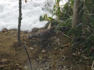 �a��T���ɁE�E�E