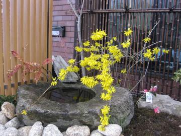 �����M���E�@�΍���@�a���뉀�ɂ�