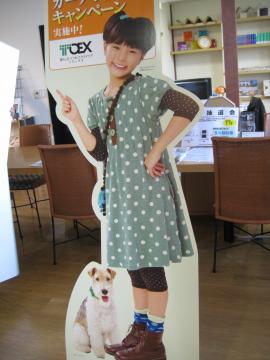 �g�ݗ��Ċ����I�I