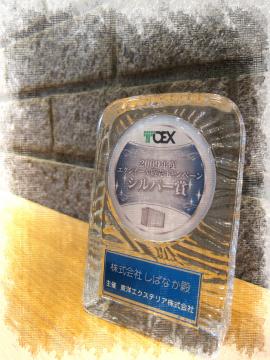 TOEX
