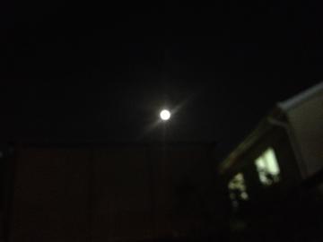 �X�\�p���[��