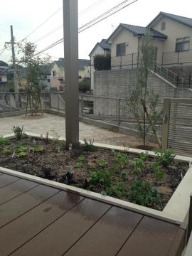 �L�b�`���K�[�f��