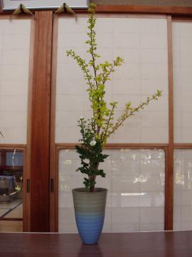 �ԁ@�K�[�f��