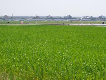 �c���@���m