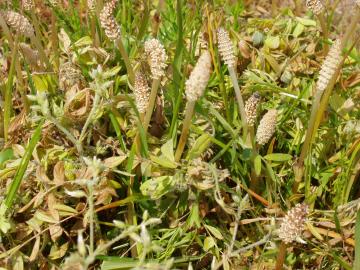 �����@�I�]