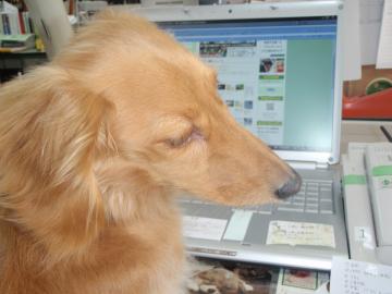 ���@���m��