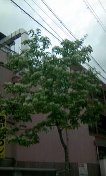 ���m���@�A��