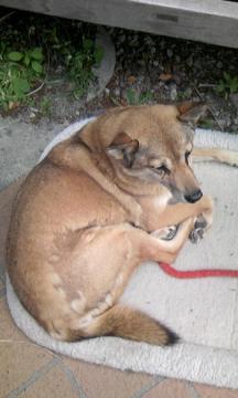 ���m���@�v�[