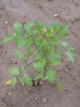 �~�j�g�}�g