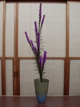 ���A�g���X