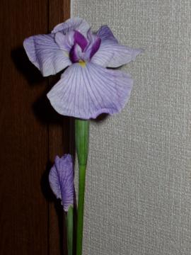 �����ԁ@���m