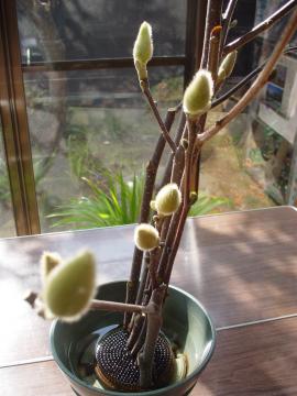 �G�N�X�e���A�@�O�\�@���É�