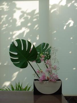 �����X�e���@��@���m