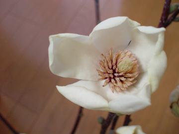 �R�u�V�@��@���m