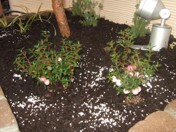 ��؁@�����@�V���W���m�L