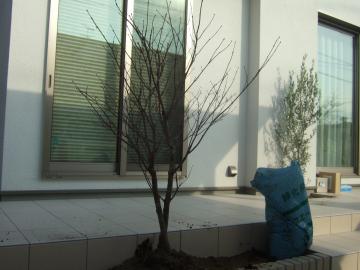 �n�E�`���J�G�f�@�a���@��