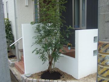 �V�}�g�l���R�@�V���{���c���[�@�A��