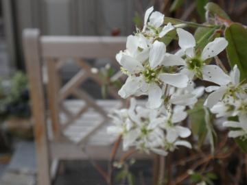 �W���[���x���[