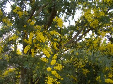 L@GNXeA@O\@GNVI[@RR}@W[}@eX@ډB@u@{H