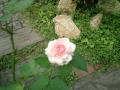 ���