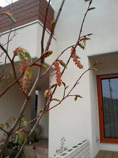AJ\