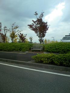 XHgt