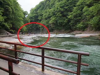 㗬].jpg