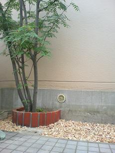 Kς݊