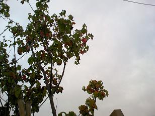 ܂