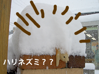 ҁ[