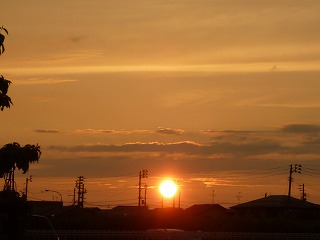 ��z�X����