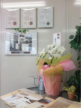 toyo