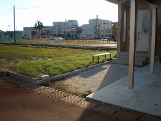 去年　下地　のみ