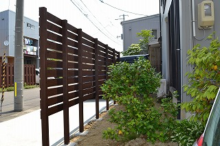 tFX