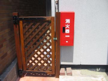 ���R�@�G�N�X�e���A�@�r��������