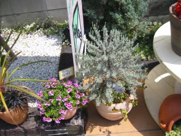 ���R�@���R�@�O�\